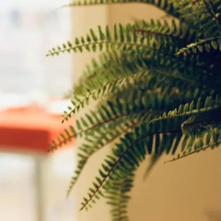 Bed & Breakfast Les Italian Excellence 4*