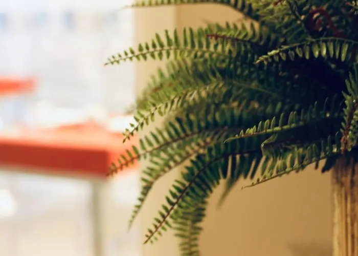 Bed & Breakfast Les 4*